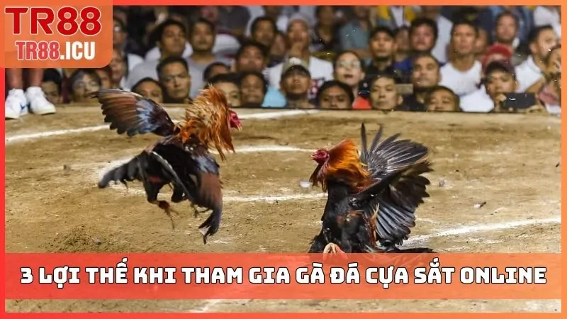 3 lợi thế khi tham gia gà đá cựa sắt online