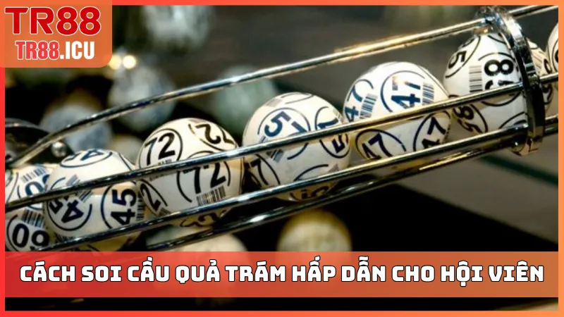 Cách soi cầu quả trám hấp dẫn cho hội viên