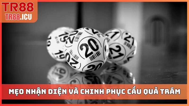 Mẹo nhận diện và chinh phục cầu quả trám