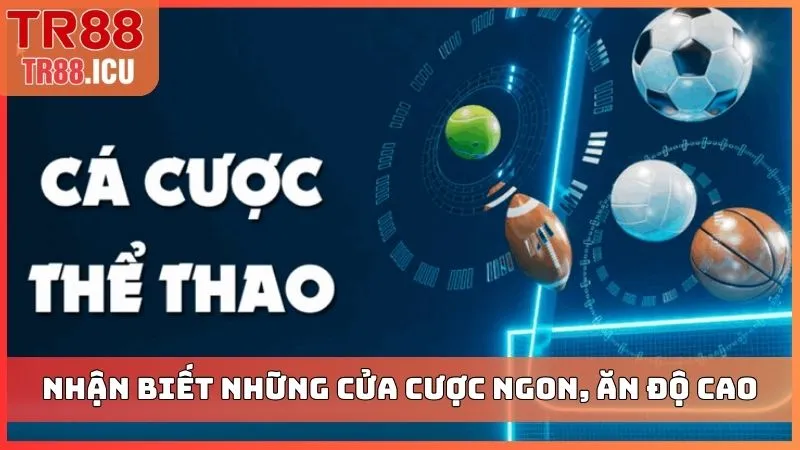 Nhận biết những cửa cược ngon, ăn độ cao